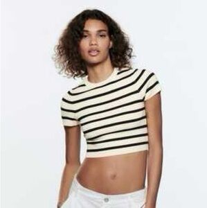 Zara Black and White Stripe Crop Top